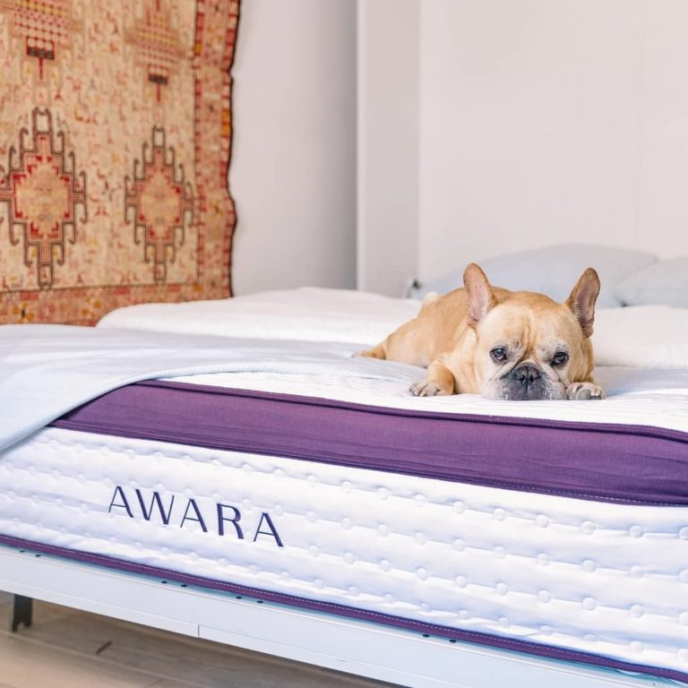 Awara Review - Must Read This Before Buying
