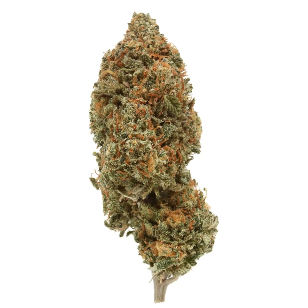 Botany Farms Cat’s Meow Indoor Flower Review