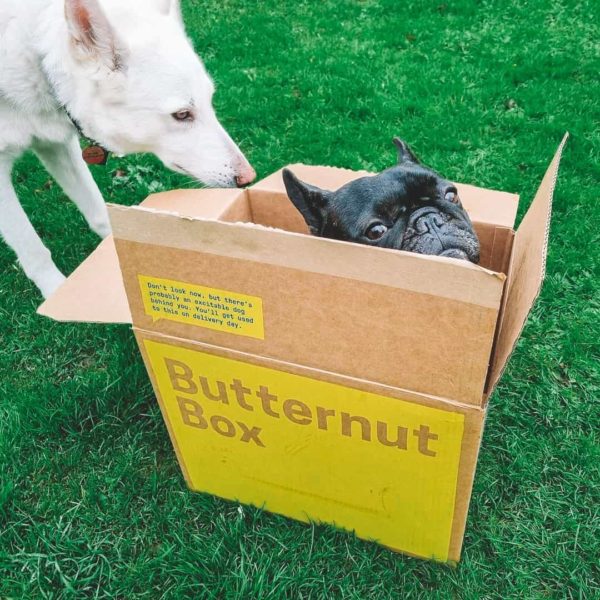 Butternut Box Review Must Read This Before Buying