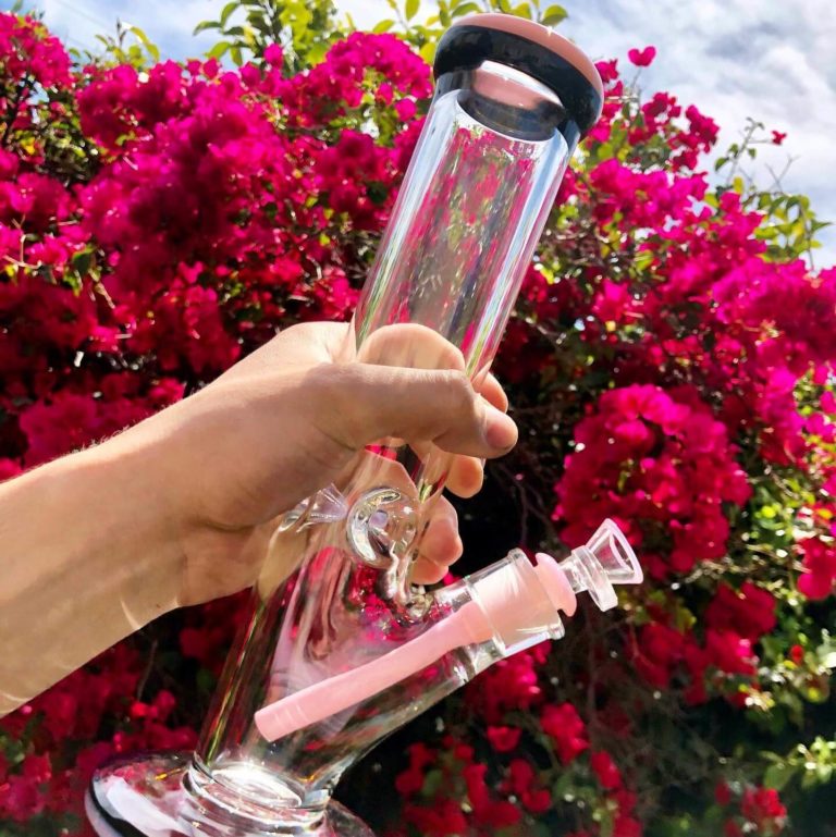 Daily High Club Review Must Read This Before Buying