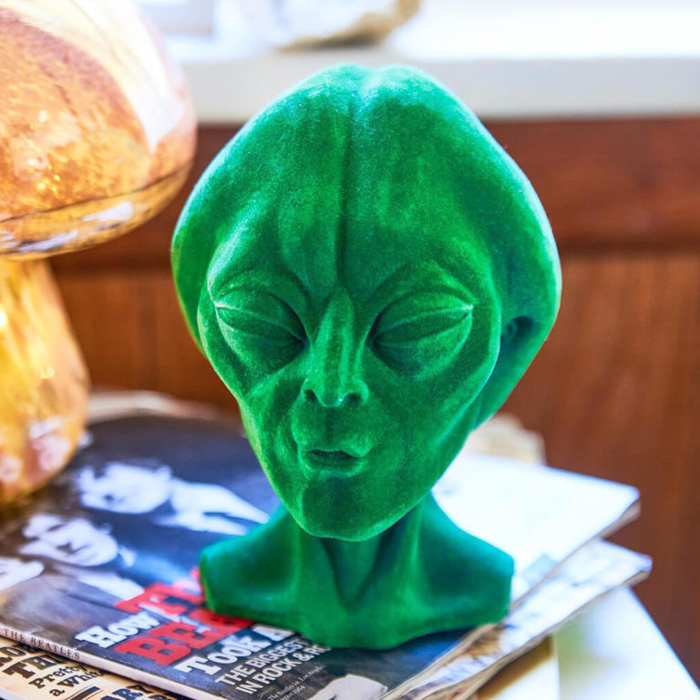 Earthbound Trading Company Review Must Read This Before Buying