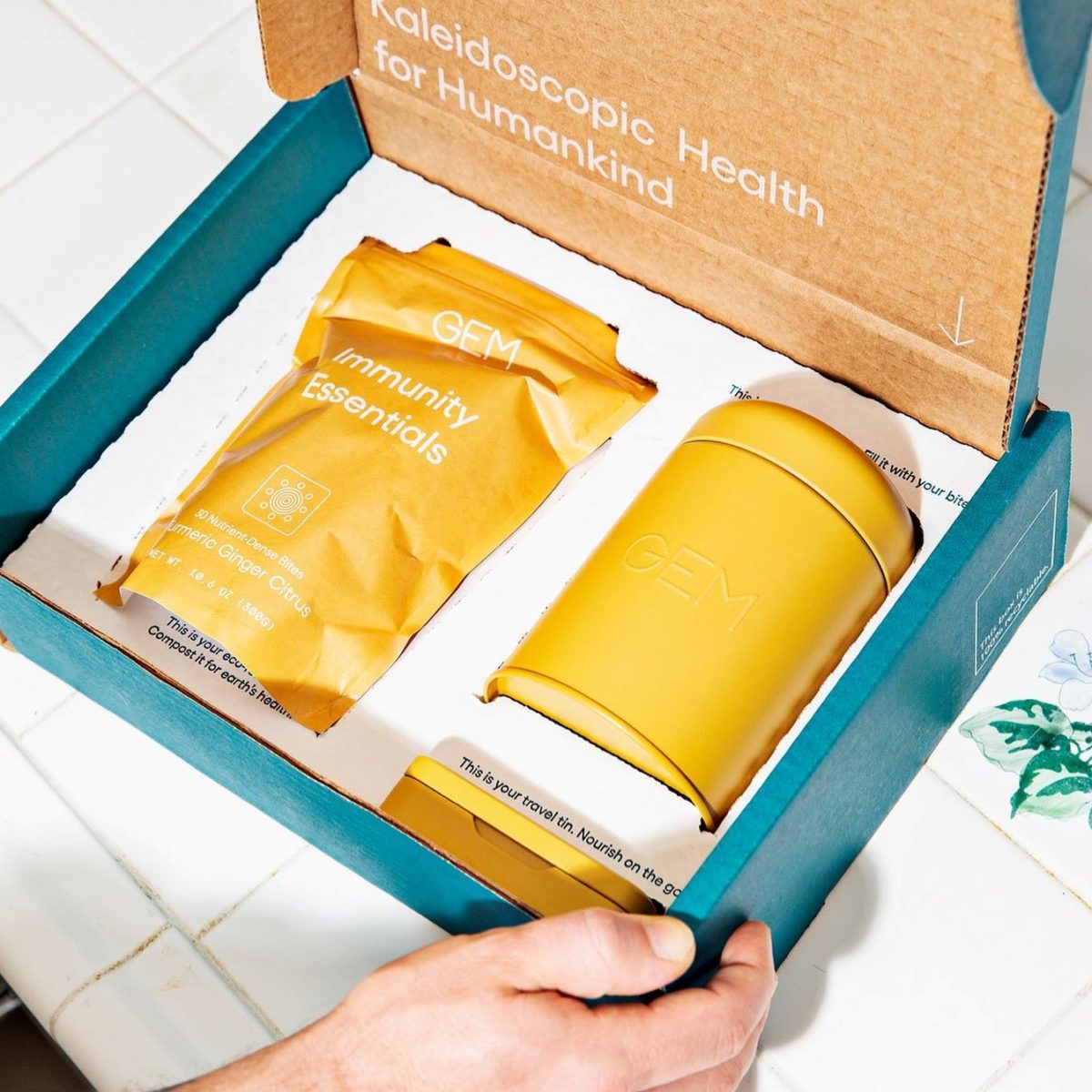 GEM Review Must Read This Before Buying