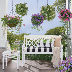 Grandin Road Review - Must Read This Before Buying