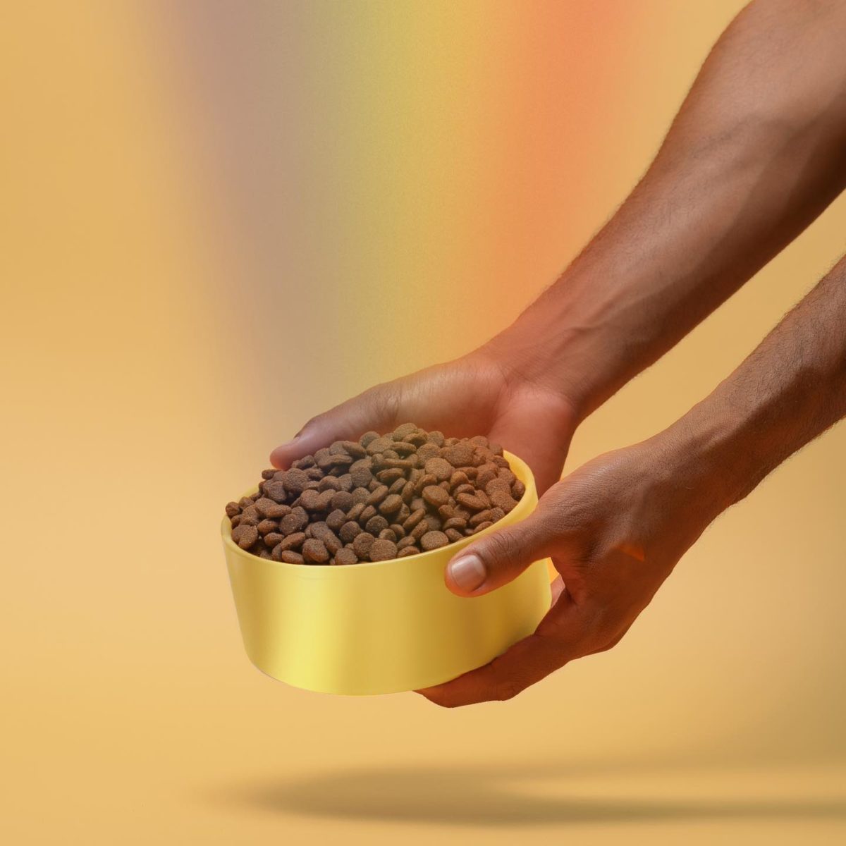 Jinx Dog Food Review Must Read This Before Buying