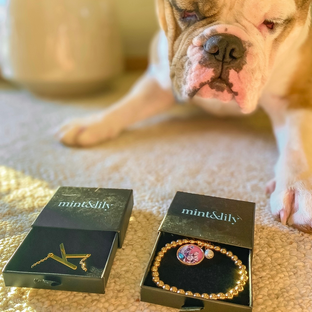 Mint and Lily Review Must Read This Before Buying