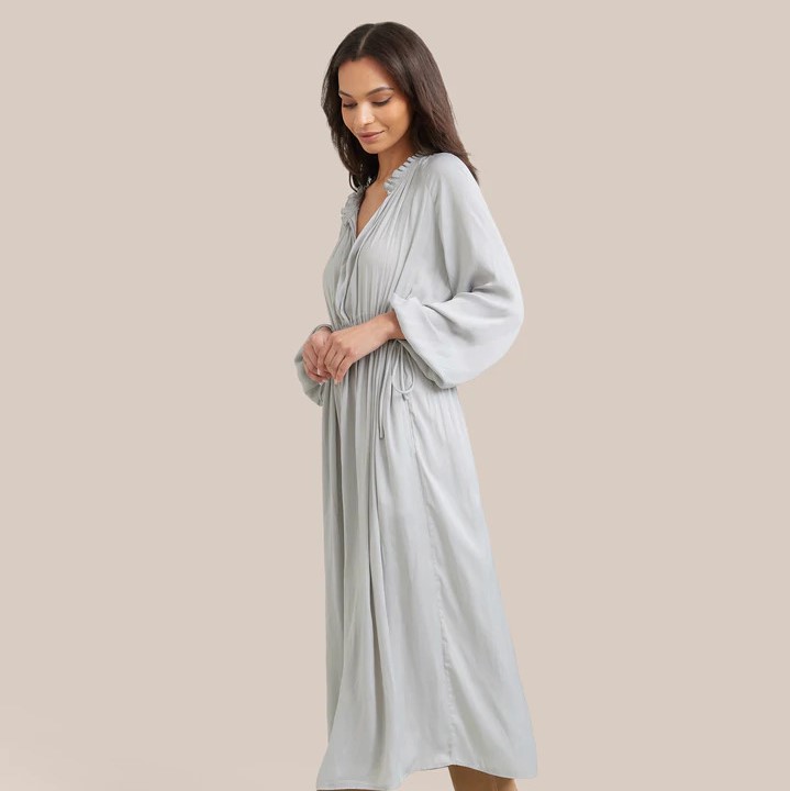 Modern Citizen Magdalena Long Sleeve Plisse Dress Review