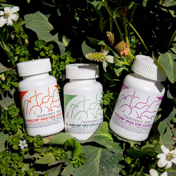 Nootropics Depot Review Must Read This Before Buying