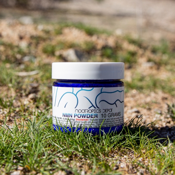 Nootropics Depot Review