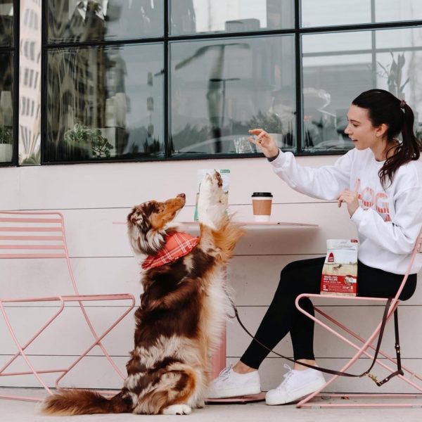 Open Farm Review Must Read This Before Buying