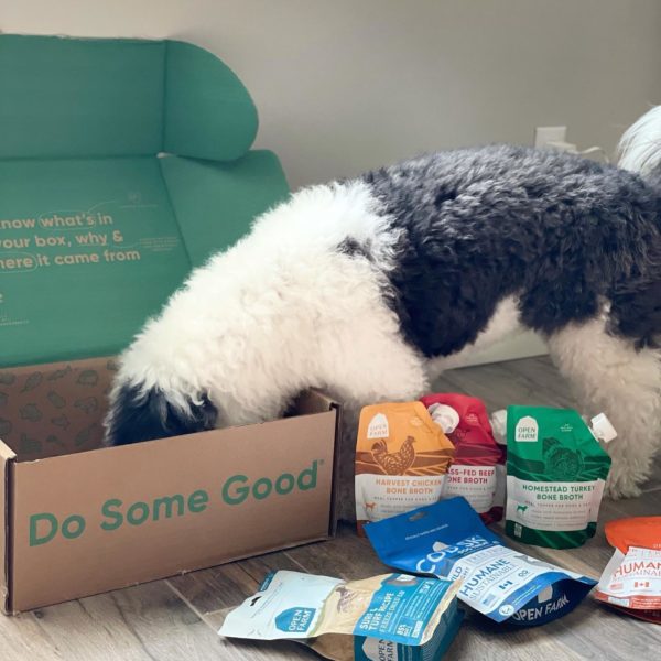 Open Farm Review Must Read This Before Buying