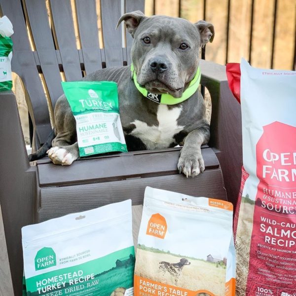 Open Farm Review Must Read This Before Buying