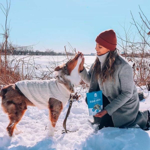 Open Farm Review Must Read This Before Buying