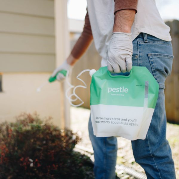 Pestie Review Must Read This Before Buying