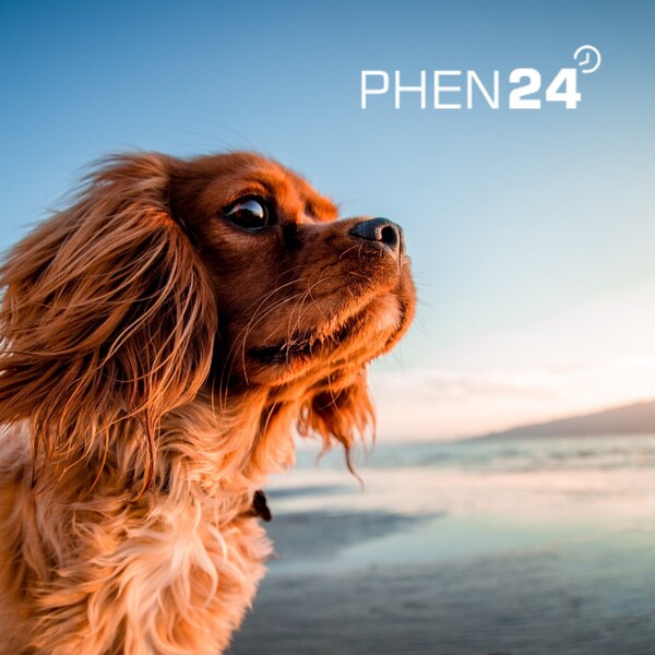 Phen24 Review