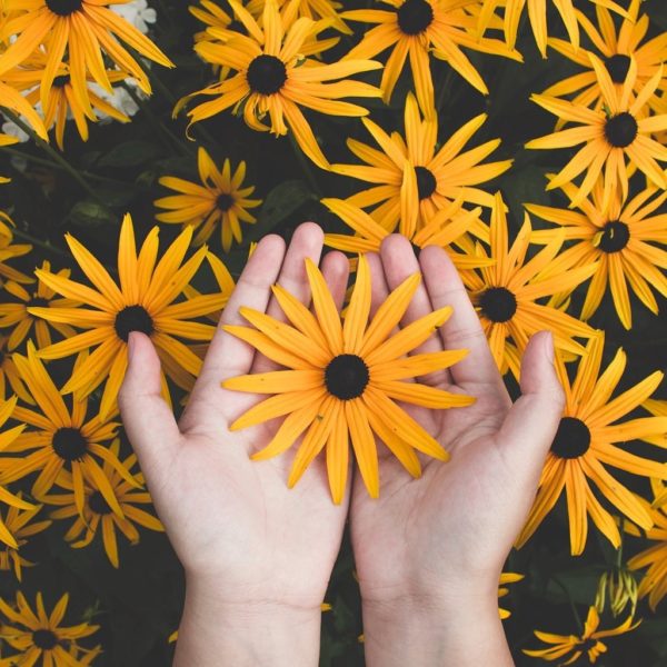 Send Flowers Review Must Read This Before Buying