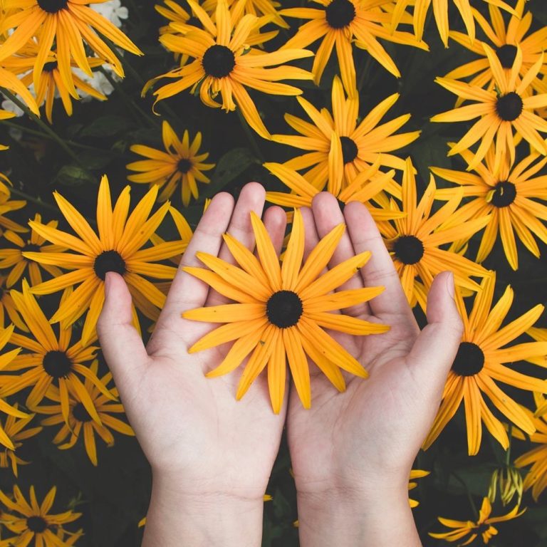 Send Flowers Review Must Read This Before Buying