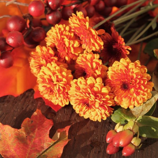 Send Flowers Review Must Read This Before Buying