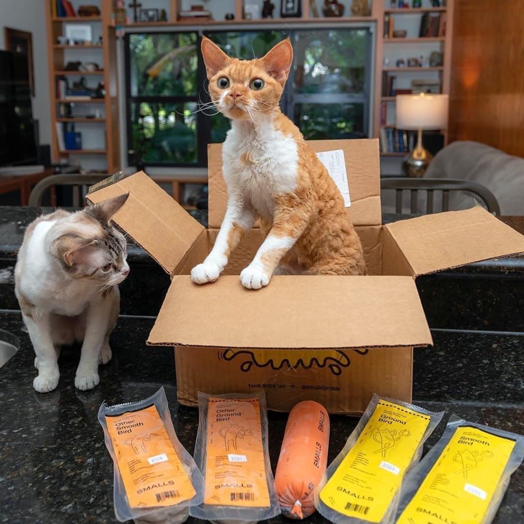 Smalls Cat Food Review