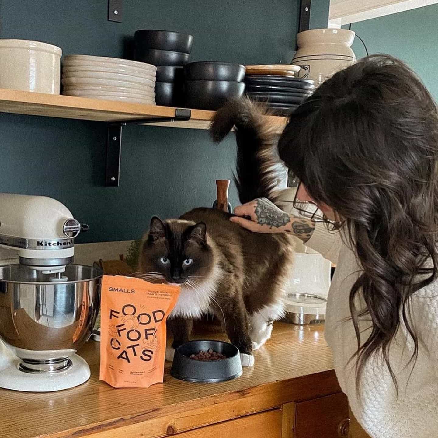 Smalls Cat Food Review Must Read This Before Buying