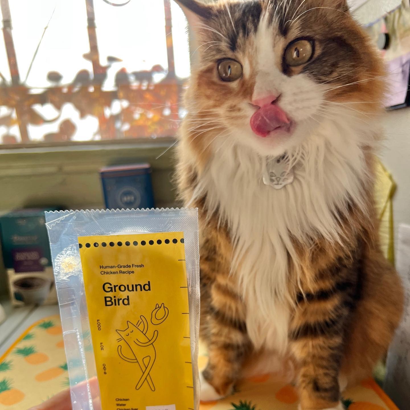 Smalls Cat Food Review Must Read This Before Buying