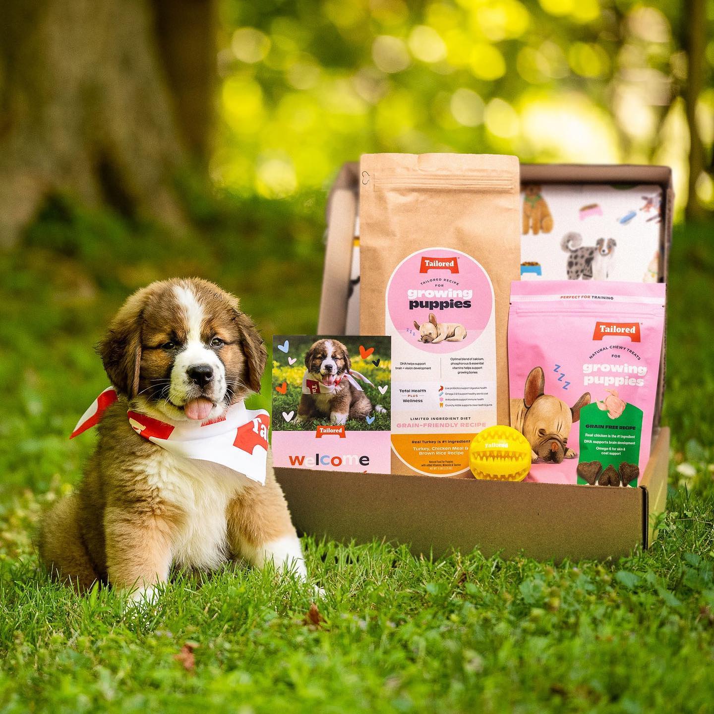 Tailored Pet Review Must Read This Before Buying