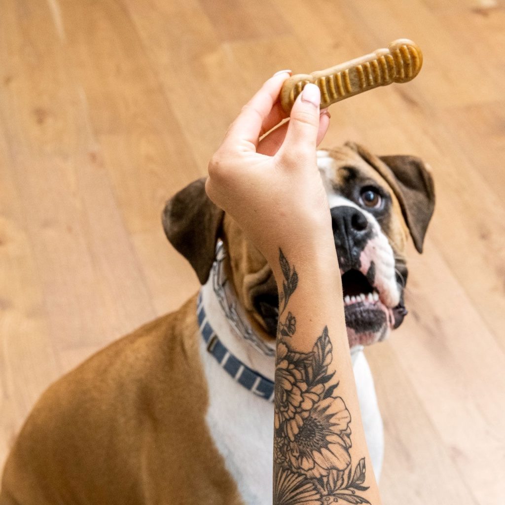 Tailored Pet Review