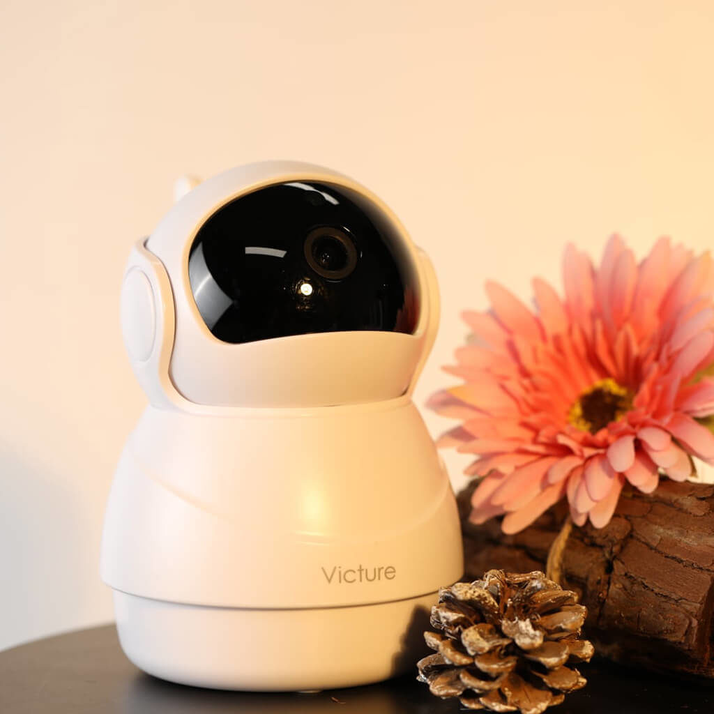 Victure Camera Review 12