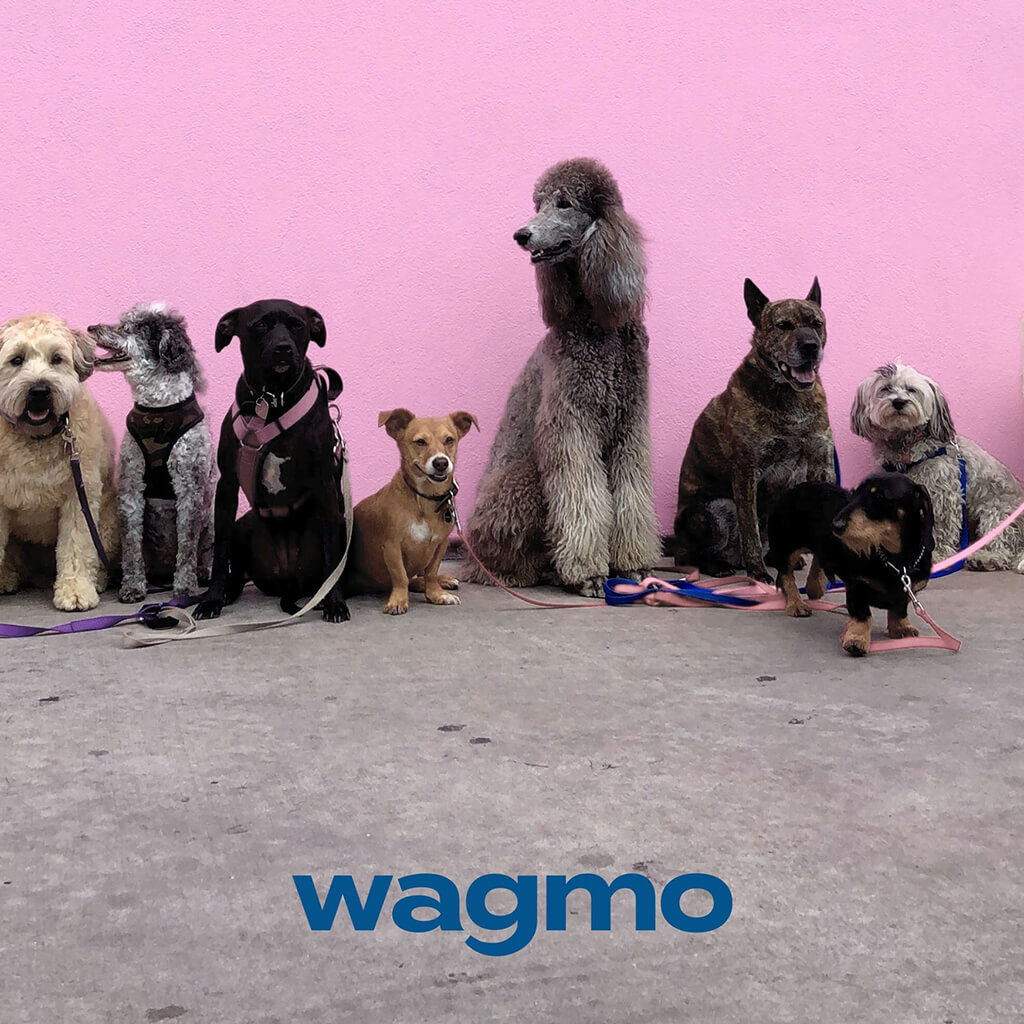 Wagmo Pet Insurance Review