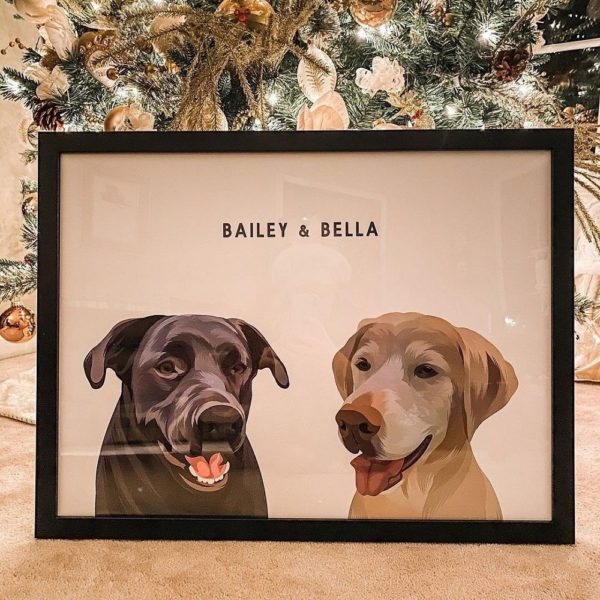 West and Willow Review Must Read This Before Buying