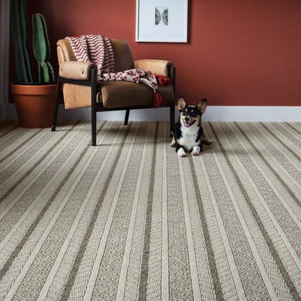 8 Best Carpet Brands Must Read This Before Buying