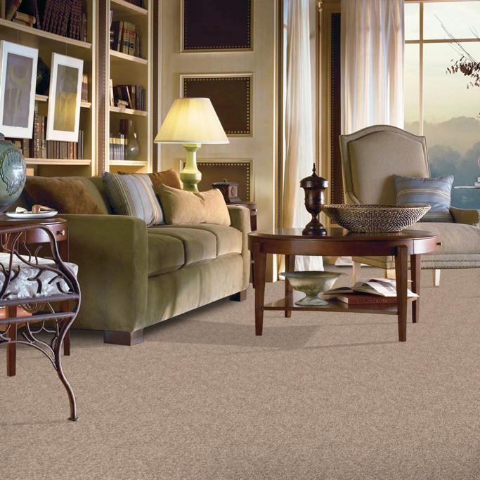 Best Carpet Brands