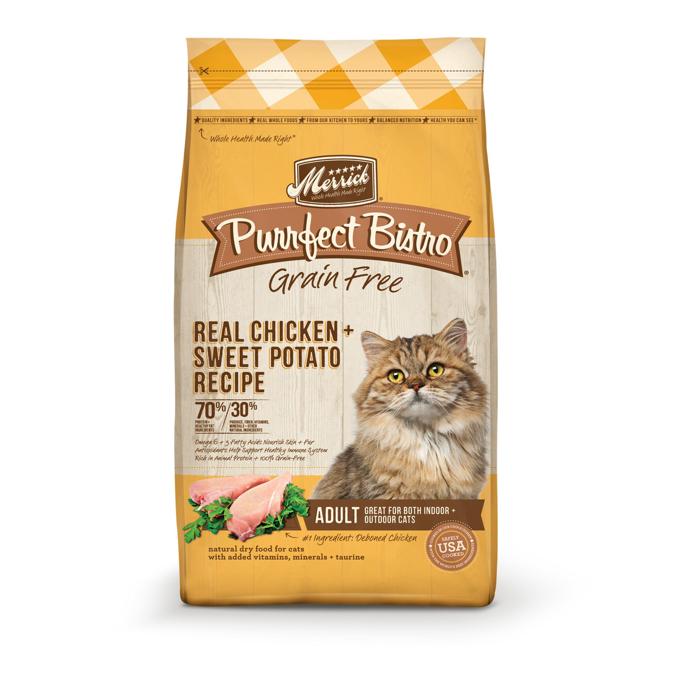 Best Cat Food Brands