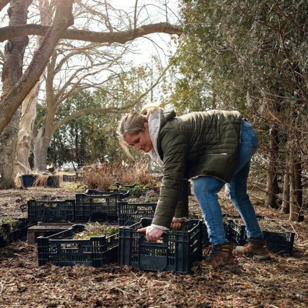 10 Best Work Boot Brands Must Read This Before Buying