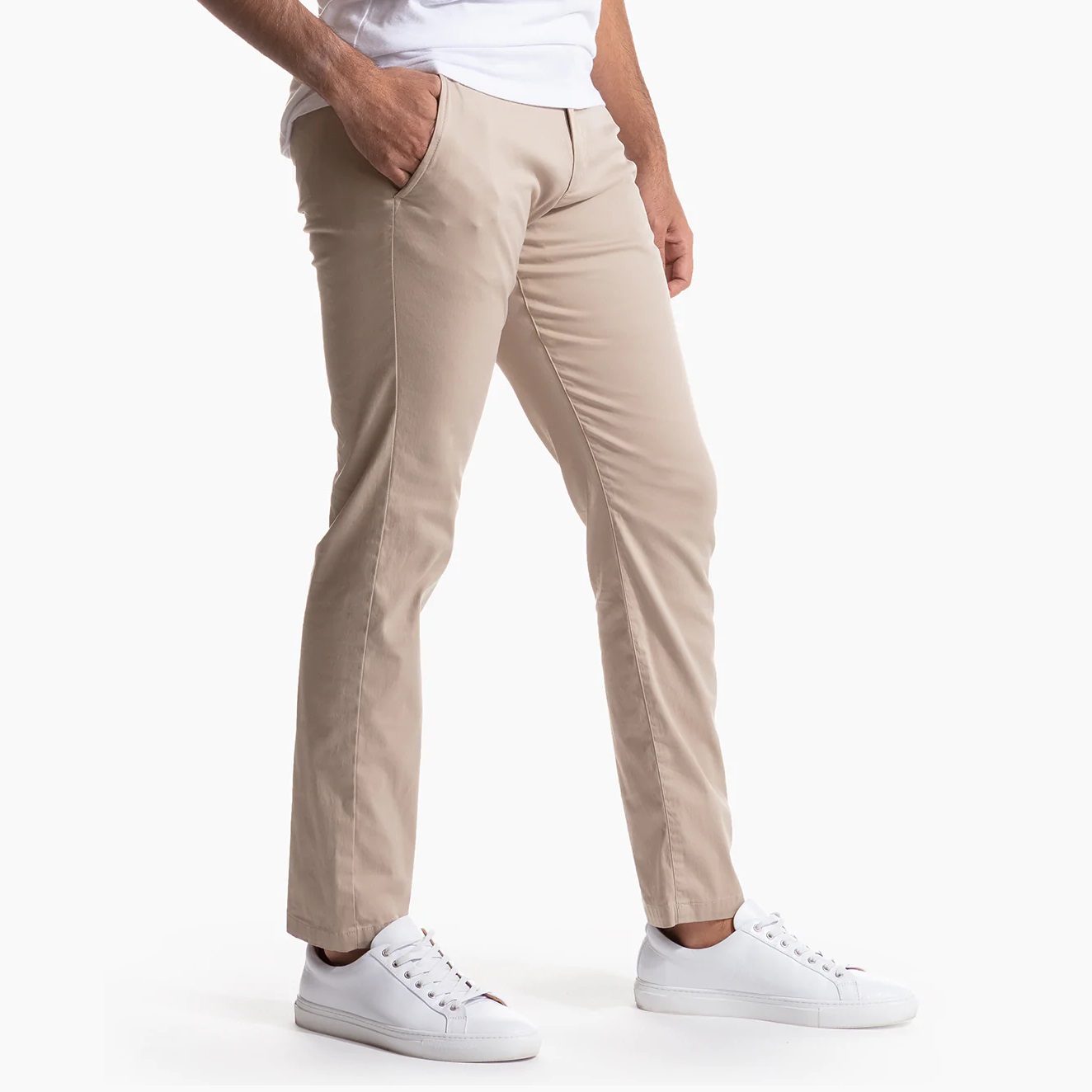 Birddogs Review Must Read This Before Buying