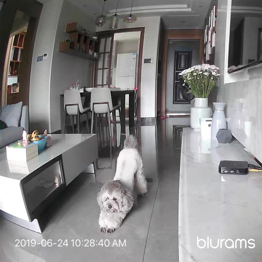 Blurams Review