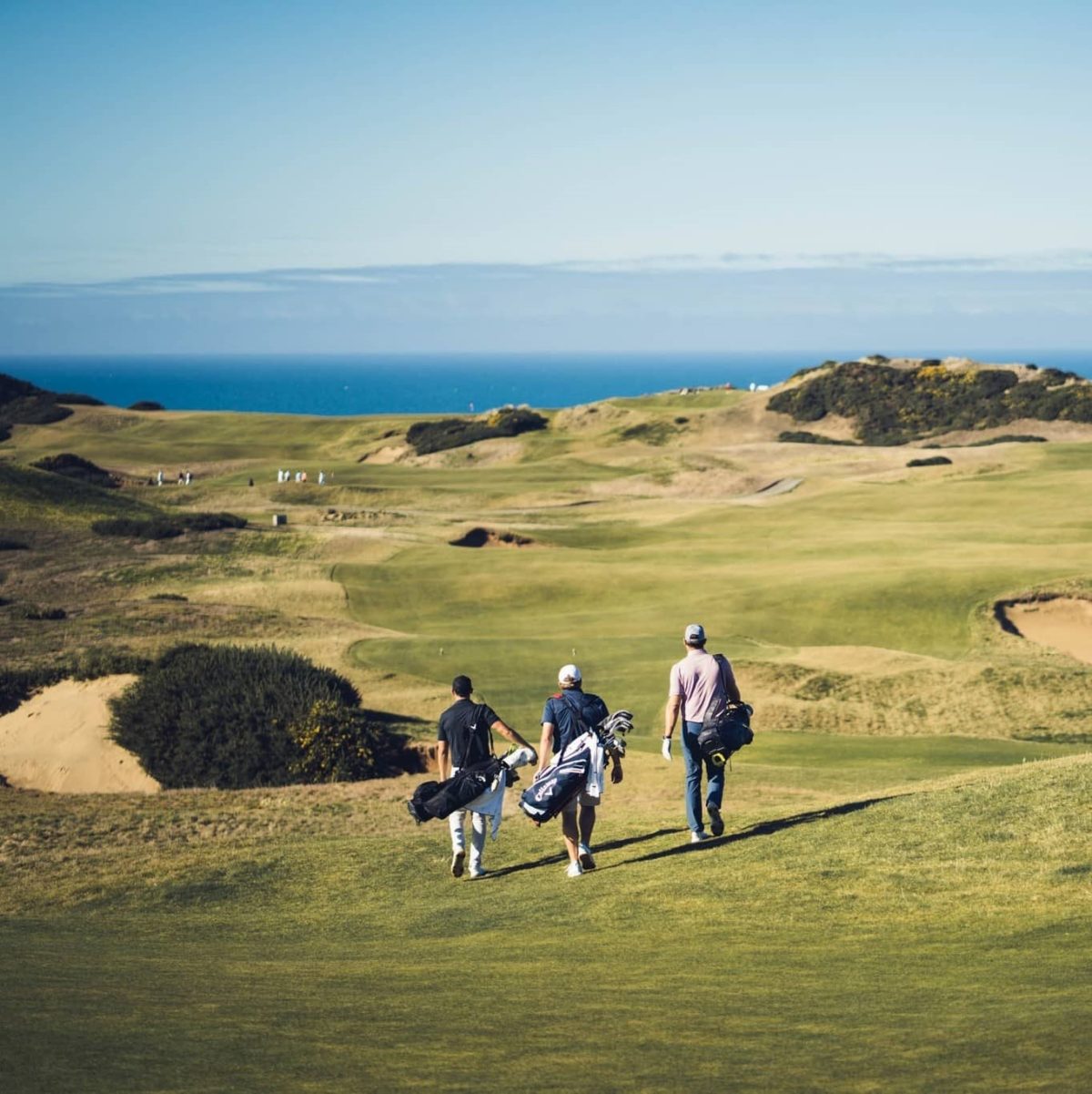 Callaway Golf Preowned Review Must Read This Before Buying