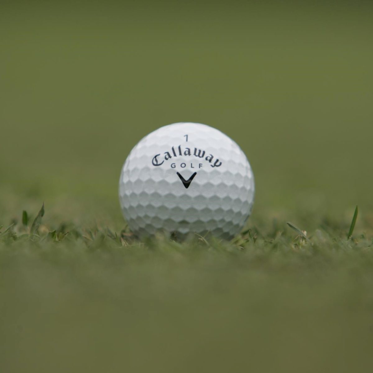 Callaway Golf Preowned Review Must Read This Before Buying