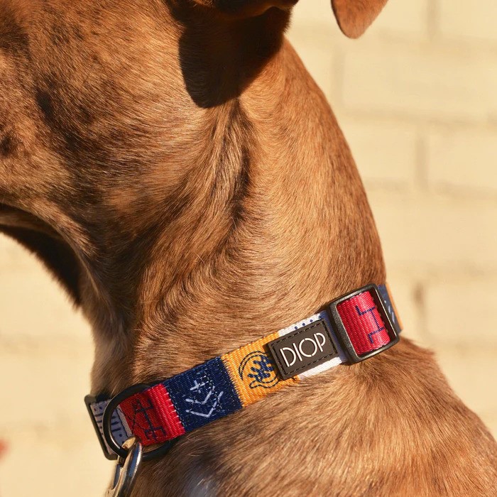 Diop The Harmata Dog Collar Review 