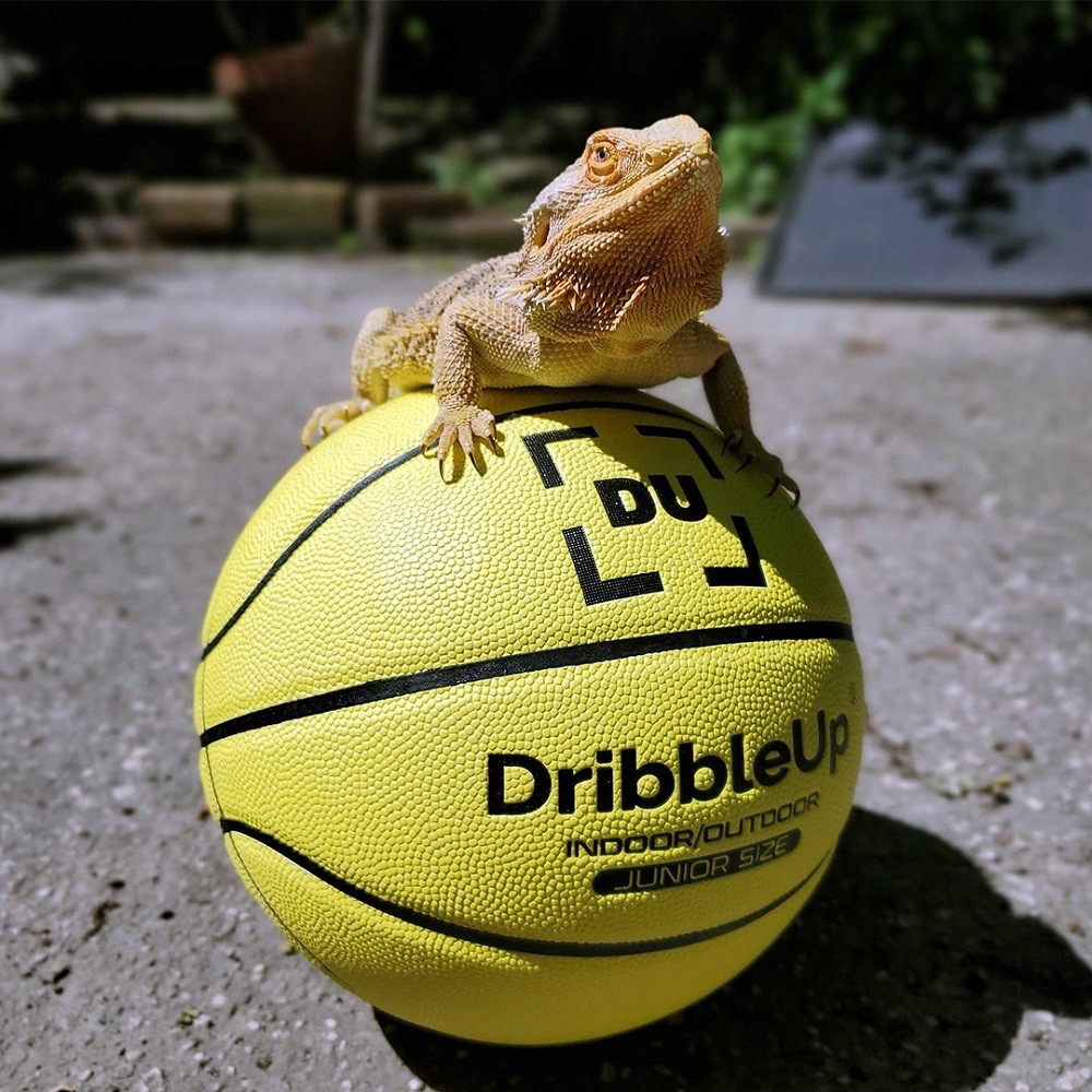 Dribble Up Review