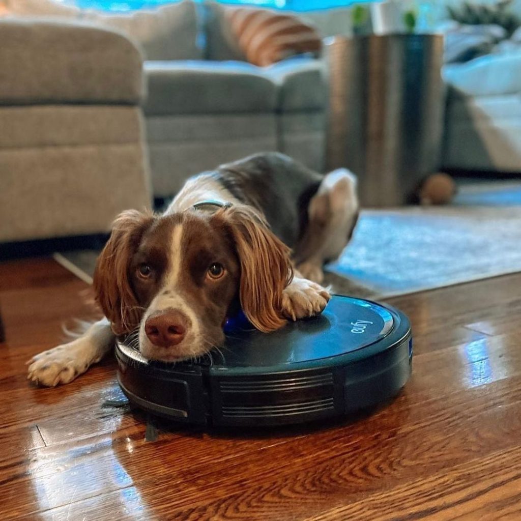 Eufy Review 12 Eufy Review