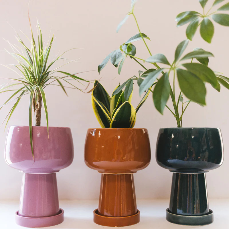 Jungalow Kaya 3-Piece Ceramic Planter by Justina Blakeney Review