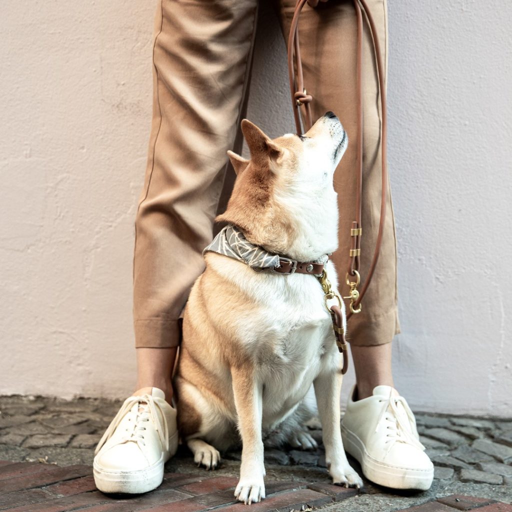 Mammaly Review 10 Mammaly Review