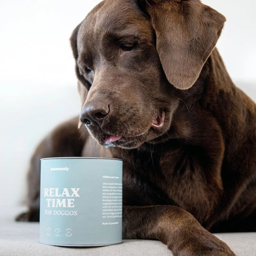 Mammaly Review 11 Mammaly Review