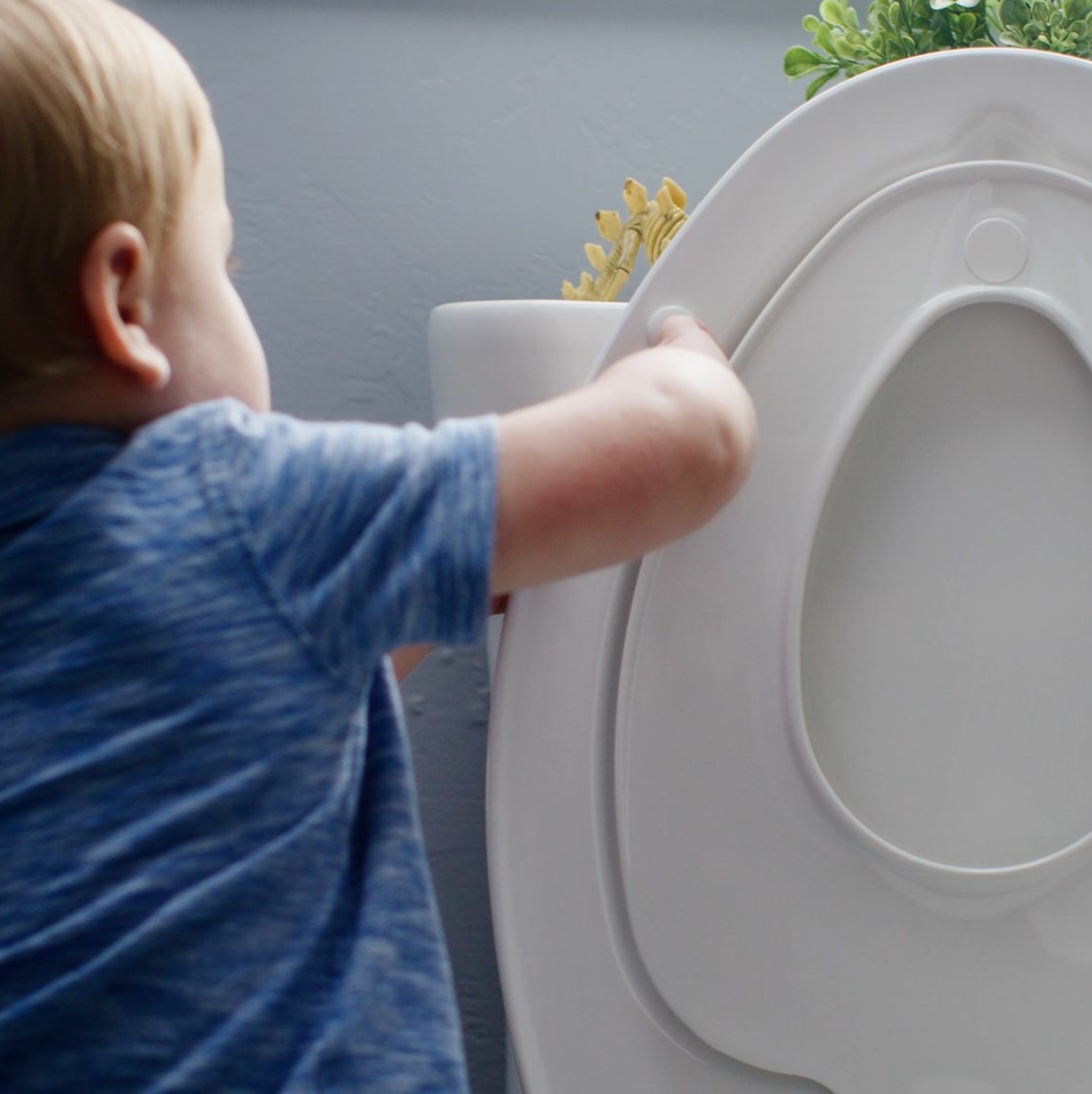 Mayfair Toilet Seats Review Must Read This Before Buying