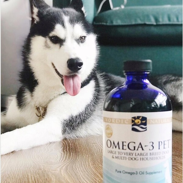 Nordic Naturals Omega 3 Review