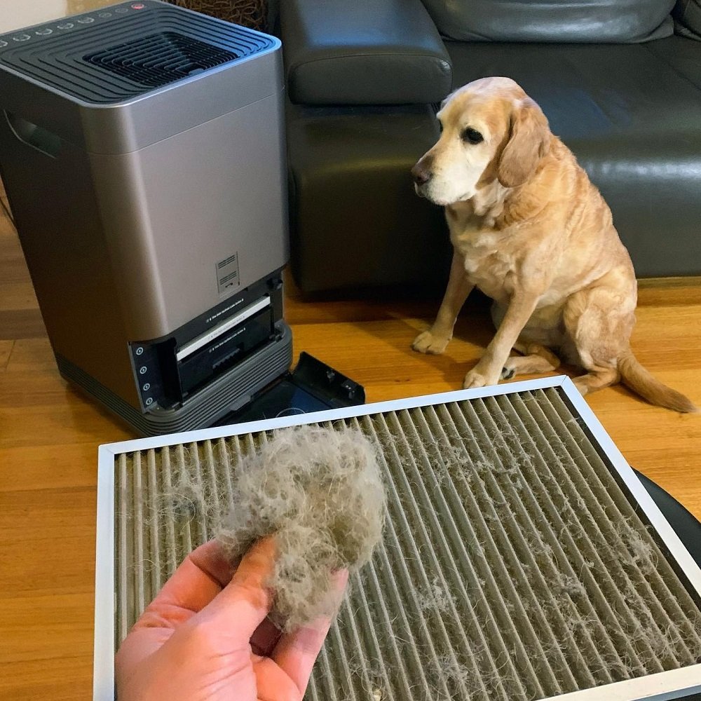 NuWave Oxypure Review