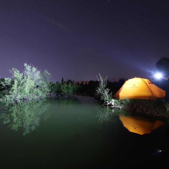 Olight vs Fenix Review