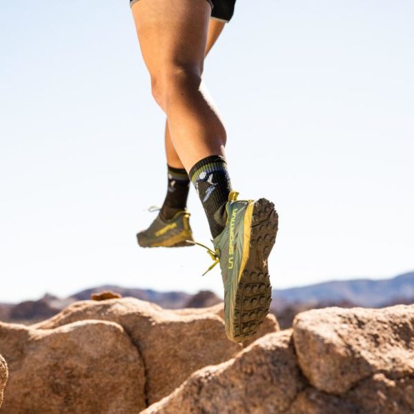 Smartwool vs Darn Tough Review Must Read This Before Buying