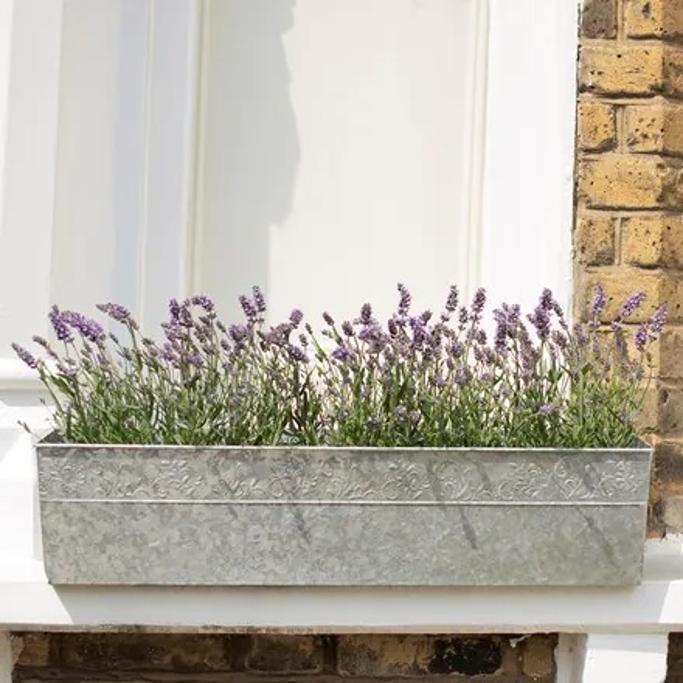 Waitrose Garden Review 14 Waitrose Garden Review