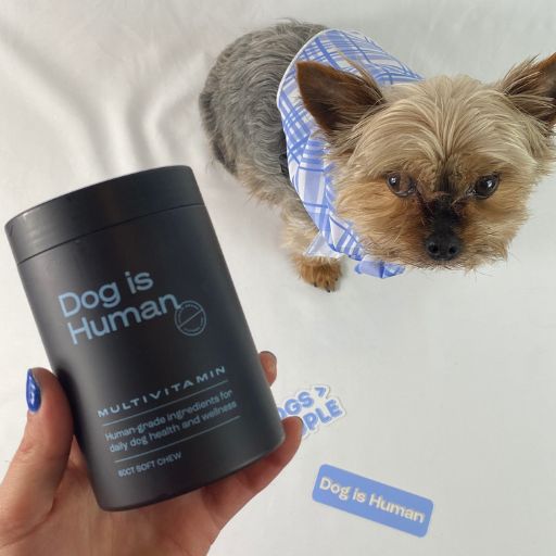 Dog is Human Review 7 Dog is Human Review